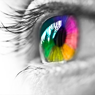 Same Day Edge Guilding